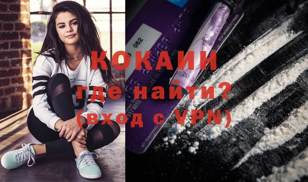 индика Армянск