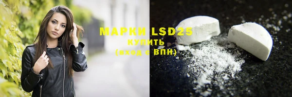 индика Армянск
