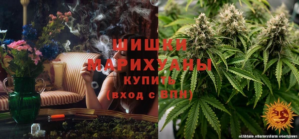 индика Армянск