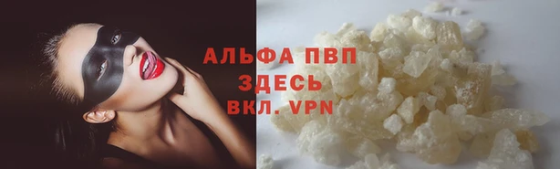 индика Армянск