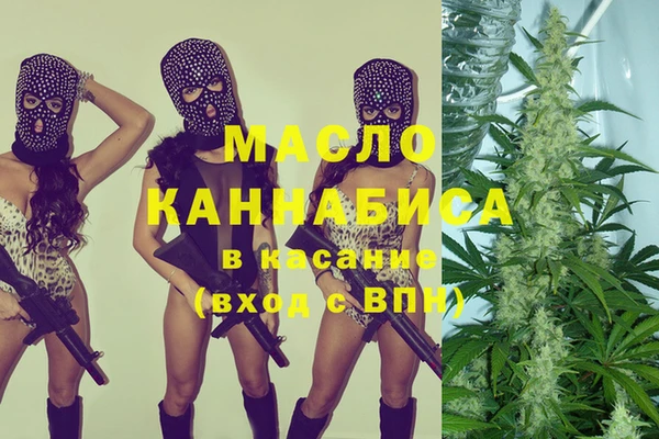 индика Армянск